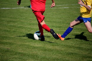 mk体育下载-中超球员比赛热度曲线与表现匹配模型，中超热身赛