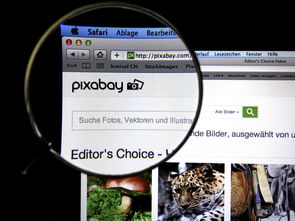 mk体育网页-体育新闻中心发布体育短视频传播效果白皮书，体育短视频成为平台和用户的新宠